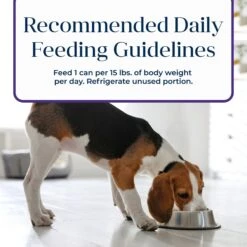 Blue Buffalo Basics Skin & Stomach Care Grain-Free Turkey & Potato Senior Canned Dog Food -Cozy Paws 88193 PT8. AC SS1800 V1646274999