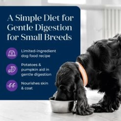 Blue Buffalo Basics Skin & Stomach Care Grain-Free Turkey & Potato Small Breed Adult Wet Dog Food -Cozy Paws 88199 PT2. AC SS1800 V1646253728