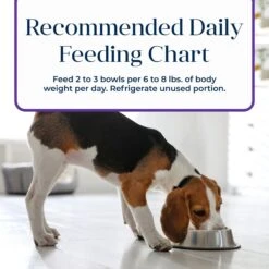 Blue Buffalo Basics Skin & Stomach Care Grain-Free Turkey & Potato Small Breed Adult Wet Dog Food -Cozy Paws 88199 PT8. AC SS1800 V1646256096