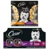 Cesar Classic Loaf In Sauce Filet Mignon & Porterhouse Steak Flavors Variety Pack Grain-Free Small Breed Adult Wet Dog Food Trays & Cesar Simply Crafted Chicken, Duck, Purple Potatoes, Pumpkin, Green Beans & Brown Rice & Chicken, Carrots, Barley & Spinach Variety Pack Adult Wet Dog Food Meal Topper