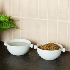 Waggo Bobble Ceramic Cat & Dog Bowl, Medium -Cozy Paws 889206 PT2. AC SS1800 V1698346578