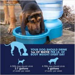 Petmate Big Blue Outdoor Dog Water Bowl, 5-gal -Cozy Paws 891350 PT6. AC SS1800 V1688579736