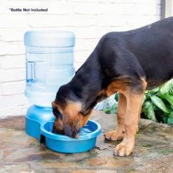 Petmate Big Blue Outdoor Dog Water Bowl, 5-gal -Cozy Paws 891350 PT7. AC SS1800 V1688567912