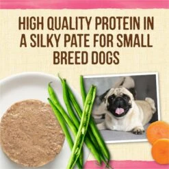 Merrick Lil' Plates Petite Pates Grain-Free Small Breed Wet Dog Food, Variety Pack, 3-oz Can, Case Of 12 13 Merrick Lil' Plates Petite Pates Grain-Free Small Breed Wet Dog Food, Variety Pack, 3-oz Can, Case Of 12 -Cozy Paws 891678 PT2. AC SS1800 V1688580436