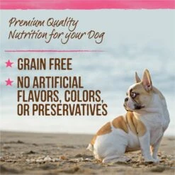 Merrick Lil' Plates Petite Pates Grain-Free Small Breed Wet Dog Food, Variety Pack, 3-oz Can, Case Of 12 17 Merrick Lil' Plates Petite Pates Grain-Free Small Breed Wet Dog Food, Variety Pack, 3-oz Can, Case Of 12 -Cozy Paws 891678 PT6. AC SS1800 V1688580435