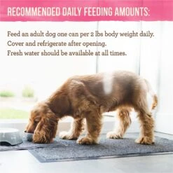 Merrick Lil' Plates Petite Pates Grain-Free Small Breed Wet Dog Food, Variety Pack, 3-oz Can, Case Of 12 19 Merrick Lil' Plates Petite Pates Grain-Free Small Breed Wet Dog Food, Variety Pack, 3-oz Can, Case Of 12 -Cozy Paws 891678 PT8. AC SS1800 V1688580550