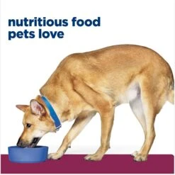 Hill's Prescription Diet I/d Digestive Care Chicken Flavor Dry Dog Food -Cozy Paws 89368 PT2. AC SS1800 V1647293852