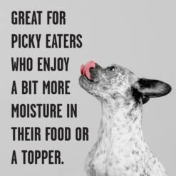 BIXBI Rawbble Grain-Free Canned Lamb Recipe Wet Dog Food, 12.5-oz Can, Case Of 12 -Cozy Paws 895246 PT3. AC SS1800 V1689010997