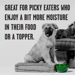 BIXBI Rawbble Grain-Free Canned Turkey Recipe Wet Dog Food For Puppies, 12.5-oz Can, Case Of 12 13 BIXBI Rawbble Grain-Free Canned Turkey Recipe Wet Dog Food For Puppies, 12.5-oz Can, Case Of 12 -Cozy Paws 895262 PT4. AC SS1800 V1689017852