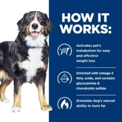 Hill's Prescription Diet Metabolic + Mobility Weight & Joint Care Vegetable & Tuna Stew Canned Dog Food -Cozy Paws 89574 PT6. AC SS1800 V1521064465