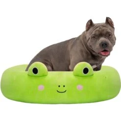 Squishmallows JPT Wendy The Frog Cat & Dog Bed, Green -Cozy Paws 898198 PT3. AC SS1800 V1688061532