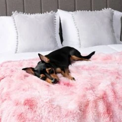 PetAmi Furry Faux Fur Waterproof Cat & Dog Blanket -Cozy Paws 902854 PT5. AC SS1800 V1687815683