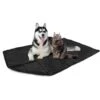 PetAmi Fluffy Waterproof Cat & Dog Blanket -Cozy Paws 903366 MAIN. AC SS1800 V1687881264