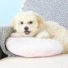 PetZu Heartbeat Dog Pillow -Cozy Paws 90381 MAIN. AC SS1800 V1566935528