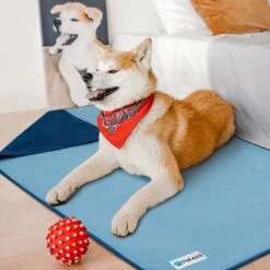 PetAmi Reversible Fleece Waterproof Cat & Dog Blanket -Cozy Paws 904070 PT4. AC SS1800 V1688392684