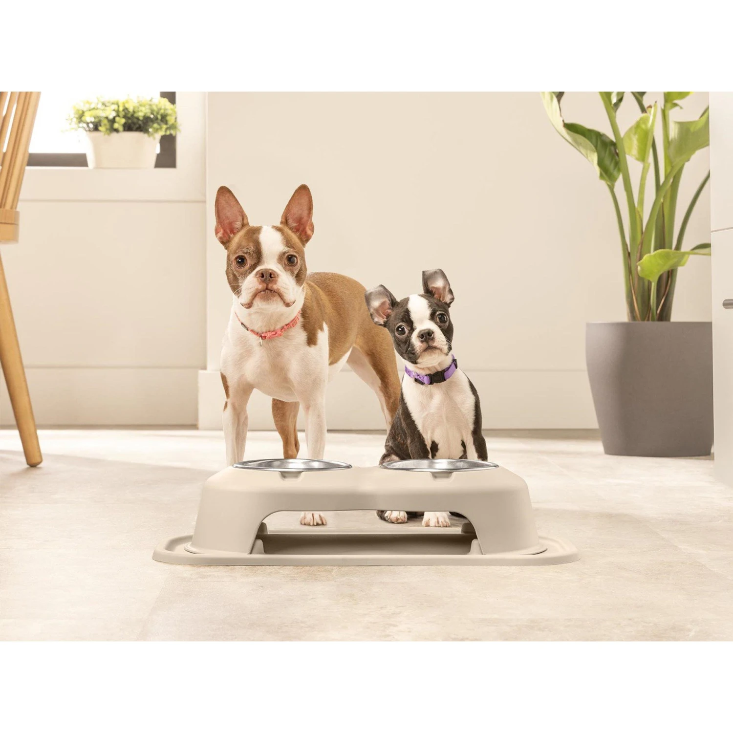 WeatherTech Double High Poly Bowl Cat & Dog Pet Feeding System 5 WeatherTech Double High Poly Bowl Cat & Dog Pet Feeding System - Image 3