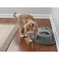 WeatherTech Double High Poly Bowl Cat & Dog Pet Feeding System 9 WeatherTech Double High Poly Bowl Cat & Dog Pet Feeding System -Cozy Paws 904750 PT3. AC SS1800 V1695572554