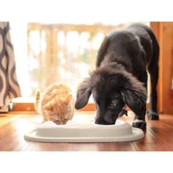 WeatherTech Double Low Poly Bowl Cat & Dog Pet Feeding System 7 WeatherTech Double Low Poly Bowl Cat & Dog Pet Feeding System -Cozy Paws 904870 PT2. AC SS1800 V1695584988