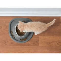 WeatherTech Single Low Poly Bowl Cat & Dog Pet Feeding System 9 WeatherTech Single Low Poly Bowl Cat & Dog Pet Feeding System -Cozy Paws 905158 PT3. AC SS1800 V1695577428