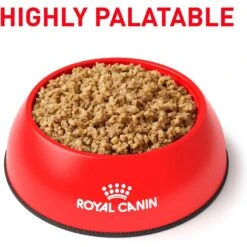 Royal Canin Veterinary Diet Adult Renal Support E Loaf Canned Dog Food -Cozy Paws 90643 PT2. AC SS1800 V1701379574