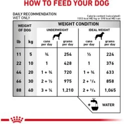 Royal Canin Veterinary Diet Adult Renal Support E Loaf Canned Dog Food -Cozy Paws 90643 PT7. AC SS1800 V1701379573