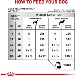 Royal Canin Veterinary Diet Adult Renal Support T Loaf Canned Dog Food -Cozy Paws 90644 PT6. AC SS1800 V1701379570