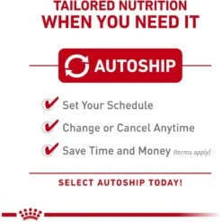 Royal Canin Veterinary Diet Adult Renal Support T Loaf Canned Dog Food -Cozy Paws 90644 PT8. AC SS1800 V1701379570