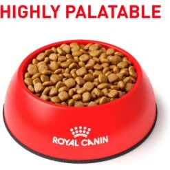 Royal Canin Veterinary Diet Adult Renal Support A Dry Dog Food -Cozy Paws 90646 PT2. AC SS1800 V1701379841