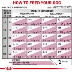 Royal Canin Veterinary Diet Adult Renal Support A Dry Dog Food -Cozy Paws 90646 PT8. AC SS1800 V1701379829