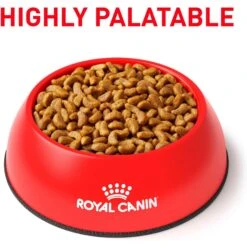 Royal Canin Veterinary Diet Adult Renal Support S Dry Dog Food 13 Royal Canin Veterinary Diet Adult Renal Support S Dry Dog Food -Cozy Paws 90649 PT2. AC SS1800 V1701379828