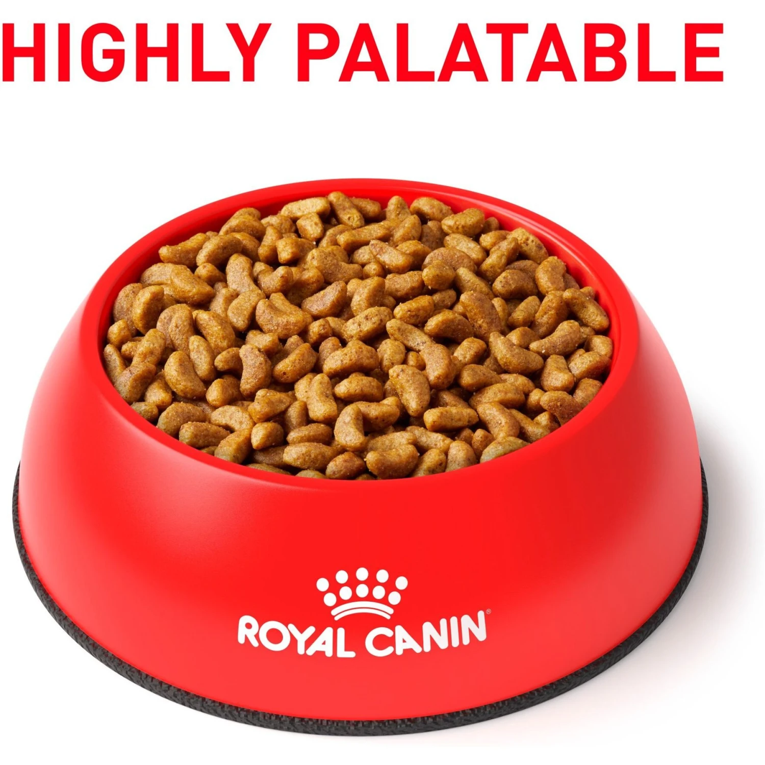 Royal Canin Veterinary Diet Adult Renal Support S Dry Dog Food 5 Royal Canin Veterinary Diet Adult Renal Support S Dry Dog Food - Image 3