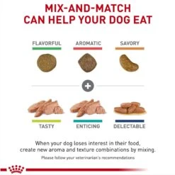 Royal Canin Veterinary Diet Adult Renal Support S Dry Dog Food 14 Royal Canin Veterinary Diet Adult Renal Support S Dry Dog Food -Cozy Paws 90649 PT3. AC SS1800 V1701379828