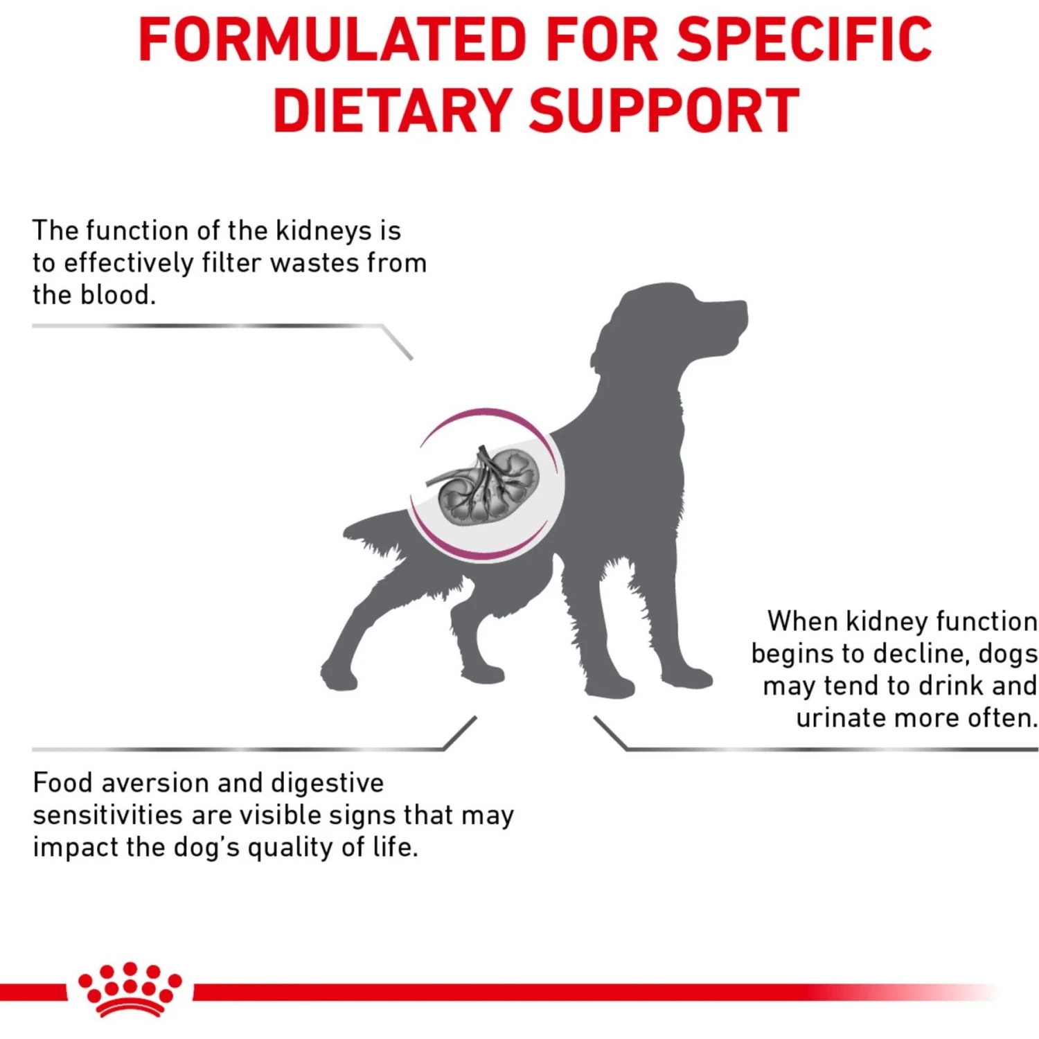 Royal Canin Veterinary Diet Adult Renal Support S Dry Dog Food 8 Royal Canin Veterinary Diet Adult Renal Support S Dry Dog Food - Image 6
