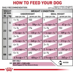 Royal Canin Veterinary Diet Adult Renal Support S Dry Dog Food 19 Royal Canin Veterinary Diet Adult Renal Support S Dry Dog Food -Cozy Paws 90649 PT8. AC SS1800 V1701379827