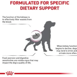 Royal Canin Veterinary Diet Adult Renal Support F Dry Dog Food -Cozy Paws 90667 PT3. AC SS1800 V1701379826