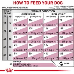 Royal Canin Veterinary Diet Adult Renal Support F Dry Dog Food -Cozy Paws 90667 PT7. AC SS1800 V1701379782
