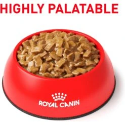 Royal Canin Veterinary Diet Adult Renal Support D Thin Slices In Gravy Canned Dog Food -Cozy Paws 90673 PT2. AC SS1800 V1701379767