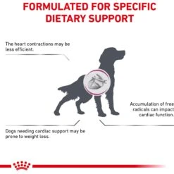 Royal Canin Veterinary Diet Adult Renal Support D Thin Slices In Gravy Canned Dog Food -Cozy Paws 90673 PT5. AC SS1800 V1701379766