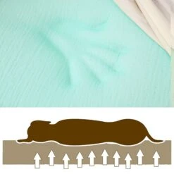 LaiFug Single Pillow Dog Bed -Cozy Paws 907350 PT2. AC SS1800 V1689094122