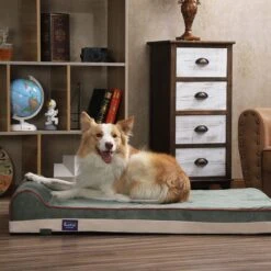 LaiFug Single Pillow Dog Bed -Cozy Paws 907350 PT5. AC SS1800 V1689095461