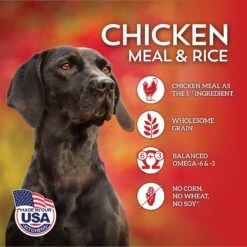 Wholesomes Chicken Meal & Rice Formula Adult Dry Dog Food -Cozy Paws 90740 PT3. AC SS1800 V1626361069