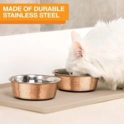 Neater Pets Brands Decorative Hammered Dog & Cat Bowl -Cozy Paws 909350 PT3. AC SS1800 V1688580431