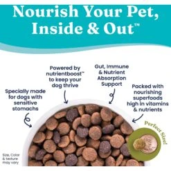 Solid Gold Nutrientboost Buck Wild Sensitive Stomach Grain-Free Wild Venison, Potato & Pumpkin Dry Dog Food 13 Solid Gold Nutrientboost Buck Wild Sensitive Stomach Grain-Free Wild Venison, Potato & Pumpkin Dry Dog Food -Cozy Paws 910062 PT4. AC SS1800 V1688760636