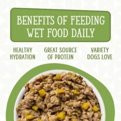 Weruva Dogs In The Kitchen Lamburgini With Lamb & Pumpkin Au Jus Grain-Free Dog Food Pouches -Cozy Paws 91012 PT6. AC SS1800 V1701362325