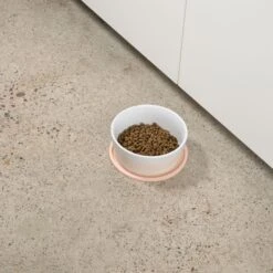 Waggo Habit Circle Silicone Dog & Cat Placemat, 2 Count 10 Waggo Habit Circle Silicone Dog & Cat Placemat, 2 Count -Cozy Paws 910598 PT3. AC SS1800 V1697761939