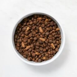 Martha Stewart Pet Food Salmon & Quinoa Recipe With Garden Vegetables Dry Dog Food -Cozy Paws 910998 PT2. AC SS1800 V1692208012