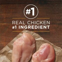 Purina ONE SmartBlend Classic Ground Chicken & Brown Rice Entree Adult Canned Dog Food -Cozy Paws 91513 PT2. AC SS1800 V1668811247