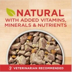 Purina ONE SmartBlend Tender Cuts In Gravy Beef & Barley Entree Adult Canned Dog Food -Cozy Paws 91565 PT1. AC SS1800 V1671814741