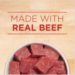 Purina ONE SmartBlend Tender Cuts In Gravy Beef & Barley Entree Adult Canned Dog Food -Cozy Paws 91565 PT2. AC SS1800 V1671815170