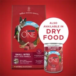 Purina ONE SmartBlend Tender Cuts In Gravy Beef & Barley Entree Adult Canned Dog Food -Cozy Paws 91565 PT6. AC SS1800 V1671744316